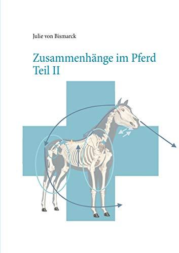 Zusammenhänge Teil II (Zusammenhänge im Pferd)