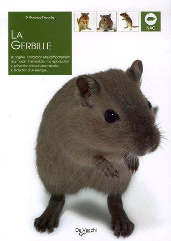 La gerbille