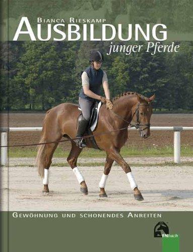 Ausbildung junger Pferde: Gewöhnung und schonendes Anreiten