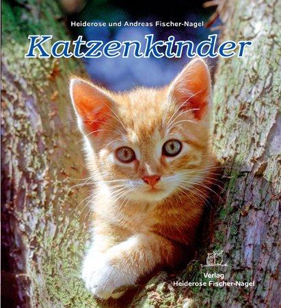 Katzenkinder