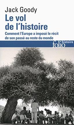 Le vol de l'histoire : comment l'Europe a imposé le récit de son passé au reste du monde