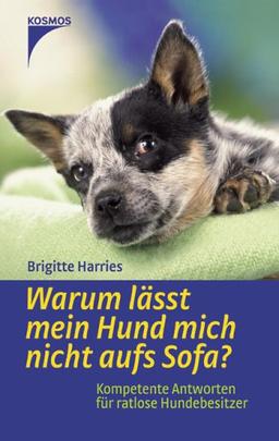 Warum lässt mein Hund mich nicht aufs Sofa? Kompetente Antworten für ratlose Hundebesitzer