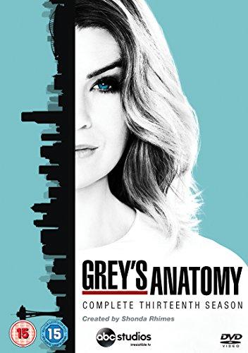 Grey's Anatomy - Season 13 [UK Import]