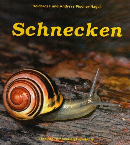 Schnecken