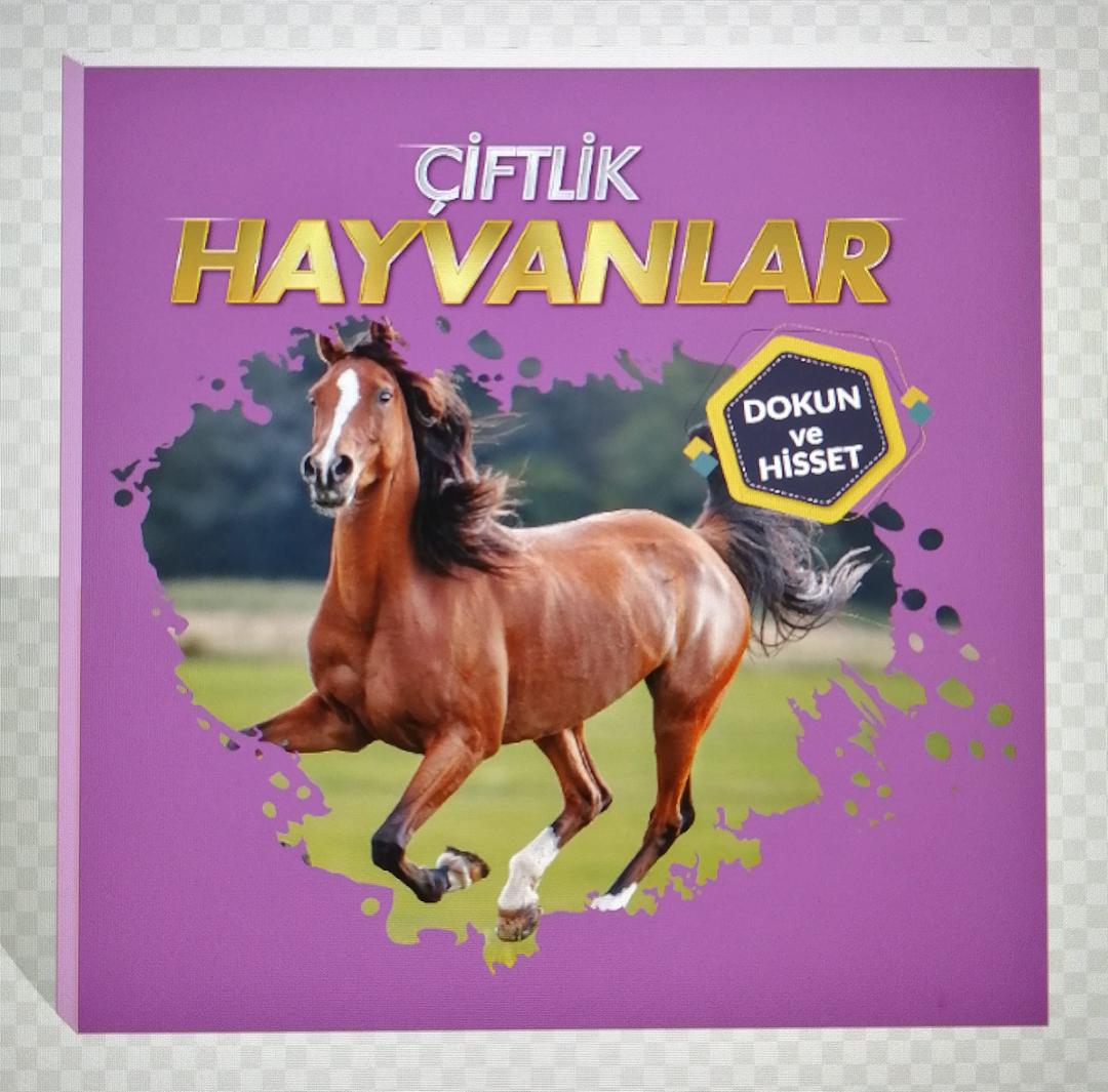 Çiftlik Hayvanları - Dokun ve Hisset