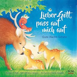 Lieber Gott, pass auf mich auf: Gute-Nacht-Gebete (Bilderbücher für 3- bis 6-Jährige)