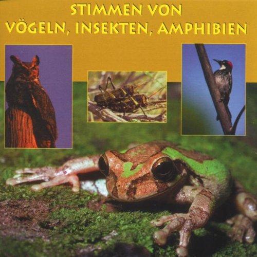 Stimmen V.Vögeln,Insekten,Amph