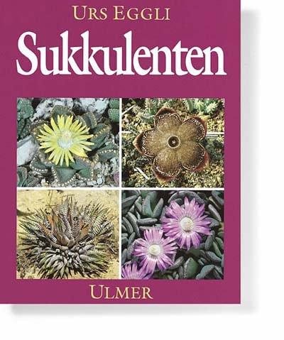 Sukkulenten