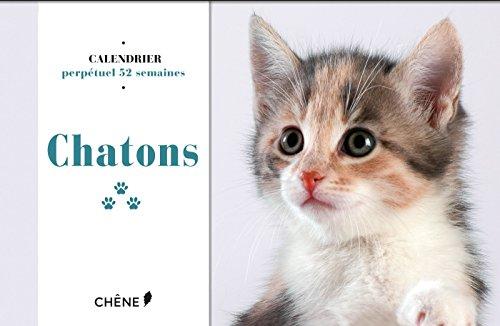 Chatons : calendrier perpétuel 52 semaines