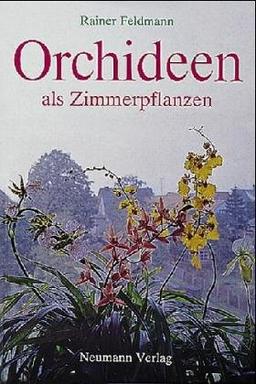 Orchideen als Zimmerpflanzen