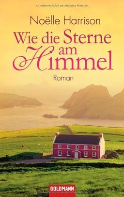 Wie die Sterne am Himmel: Roman