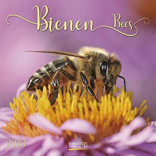 Bienen 2020: Broschürenkalender mit Ferienterminen. Format: 30 x 30 cm