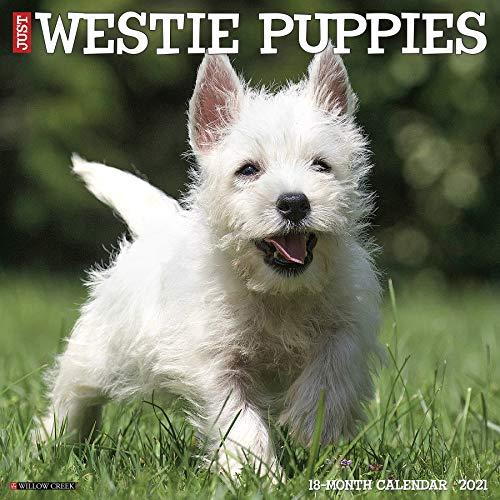 Just Westie Puppies 2021 Calendar