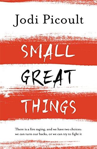 Small Great Things: 'To Kill a Mockingbird for the 21st Century'