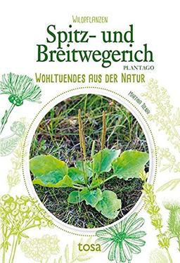 Spitz- und Breitwegerich: Wohltuendes aus der Natur