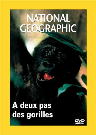 National Geographic : A deux pas des gorilles [FR Import]