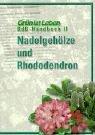 Nadelgehölze und Rhododendron