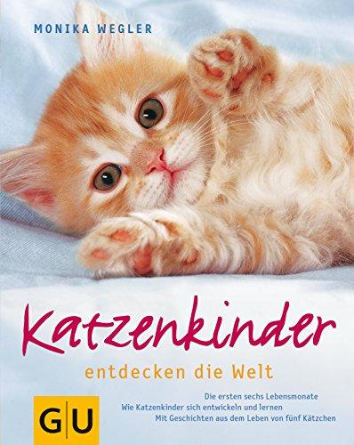 Katzenkinder (Hunde & Katzen)