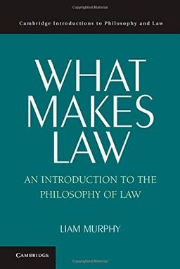 What Makes Law: An Introduction to the Philosophy of Law (Cambridge Introductions to Philosophy and Law)