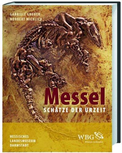 Messel: Schätze der Urzeit