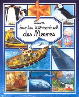 Dein buntes Wörterbuch des Meeres