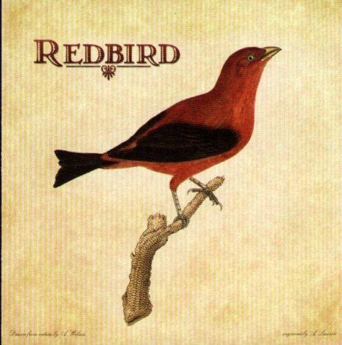 Redbird