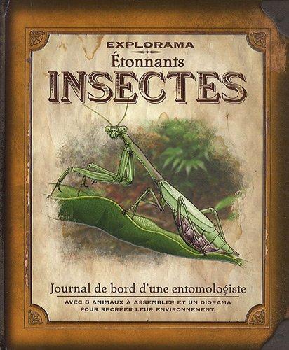 Etonnants insectes