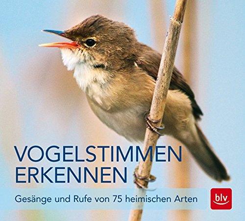 Vogelstimmen erkennen / CD: Gesänge und Rufe von 75 heimischen Arten