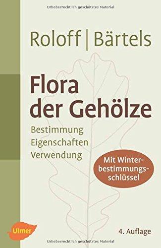 Flora der Gehölze: Bestimmung, Eigenschaften und Verwendung