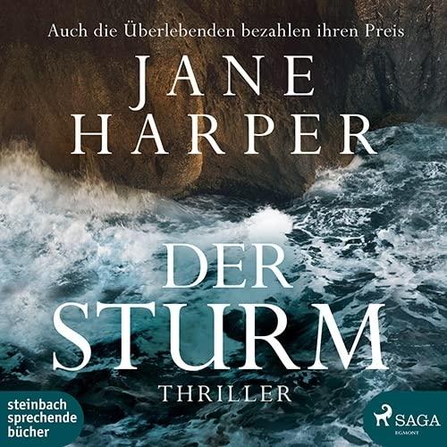 Der Sturm: Thriller