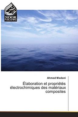 Elaboration et propriétés électrochimiques des matériaux composites