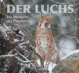 Der Luchs: Die Rückkehr der Pinselohren