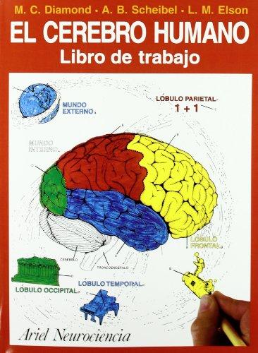 El cerebro humano : libro de trabajo (Ariel Ciencias)