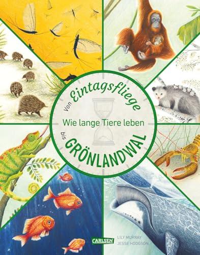 Von Eintagsfliege bis Grönlandwal: Wie lange Tiere leben | Sachbuch über das Leben von 27 besonderen Tierarten. Für Kinder ab 5.