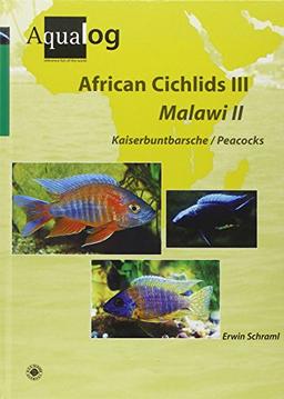 Aqualog, African Cichlids 3