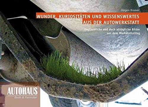 Wunder, Kuriositäten und Wissenswertes aus der Autowerkstatt: Unglaubliche und doch alltägliche Bilder aus dem Werkstattalltag