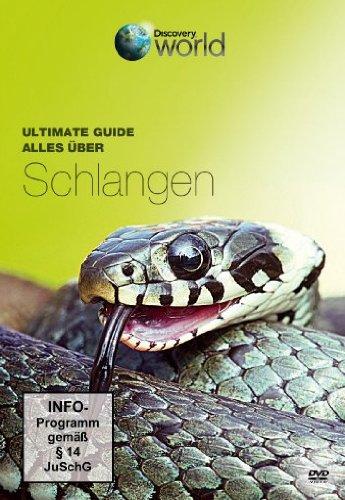 Ultimate Guide - Alles über Schlangen