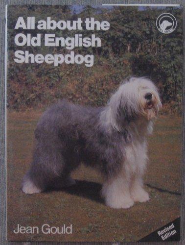 All About the Old English Sheepdog