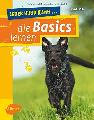 Jeder Hund kann die Basics lernen: Grunderziehung leicht gemacht