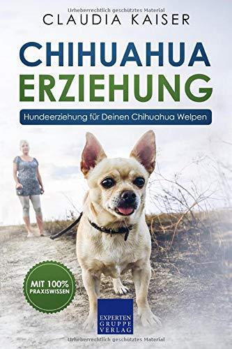 Chihuahua Erziehung: Hundeerziehung für Deinen Chihuahuawelpen (Chihuahua Band, Band 1)