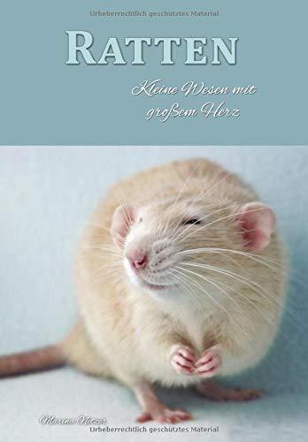 Ratten: Kleine Wesen mit großem Herz