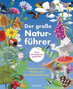 Der große Naturführer. Pflanzen, Tiere, Wolken und Sternbilder bestimmen. Nach Lebensräumen gegliedert.: Berge, Küste, Wald, Wiese, Seen & Flüsse