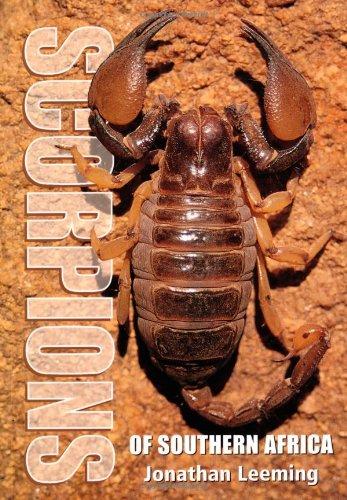 Scorpions of Southern Africa