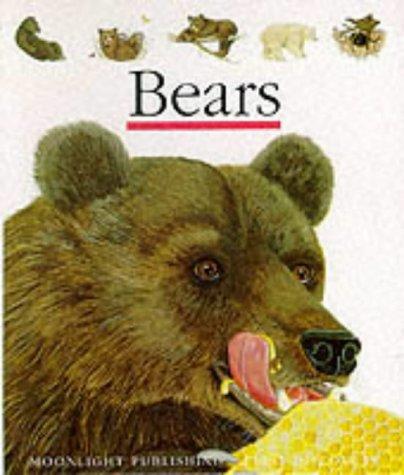 Bears (First Discovery Series)