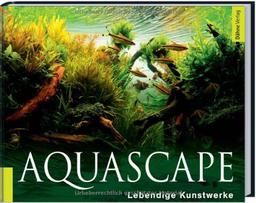 Aquascape