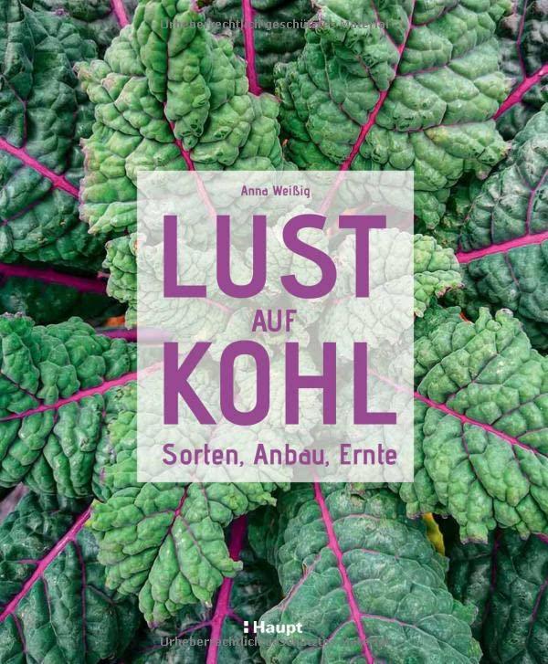 Lust auf Kohl: Sorten, Anbau, Ernte