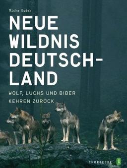 Neue Wildnis Deutschland: Wolf, Luchs und Biber kehren zurück