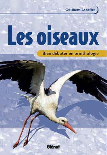 Les oiseaux : bien débuter en ornithologie