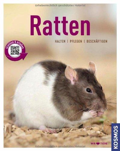 Ratten: halten, pflegen, beschäftigen