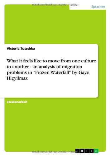 What it feels like to move from one culture to another - an analysis of migration problems in "Frozen Waterfall" by Gaye Hiçyilmaz